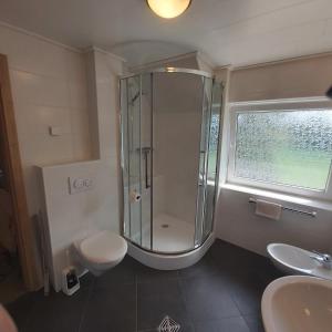 a bathroom with a shower and a toilet and a sink at Gabis Ferienwohnung Bendingbostel in Bendingbostel