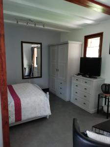 um quarto com uma cama, um espelho e uma televisão em Romantic Studio Vacances em Labaroche