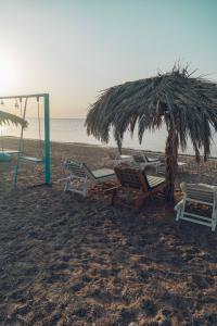 a group of chairs and a swing on a beach at Sayadeen Village - Red Sea Riviera in Nuweiba