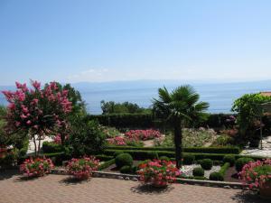 a garden with pink flowers and a palm tree at Bed and Breakfast Villa Iris in Mošćenička Draga