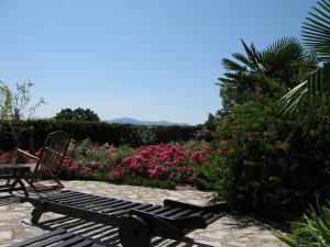 una panchina seduta accanto a un giardino con fiori rosa di Bed and Breakfast Villa Iris a Mošćenička Draga