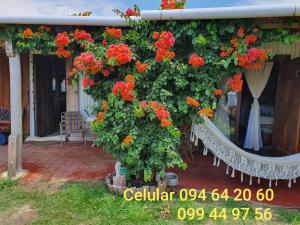 Imagen de la galería de Quindio, en Barra del Chuy