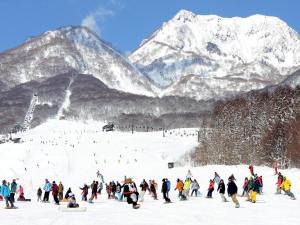 a group of people skiing on a snow covered mountain at Hotel Alpen Blick in Myoko +73 photos