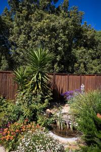 Galeriebild der Unterkunft Contractor's Heaven and Entertainer in Parkes