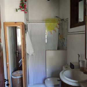 uma casa de banho com um chuveiro, um WC e um lavatório. em La Casa del Orobal em Agaete