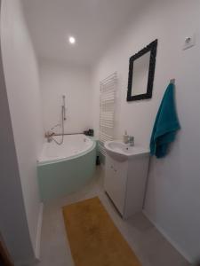 Vannituba majutusasutuses No°21 Apartman
