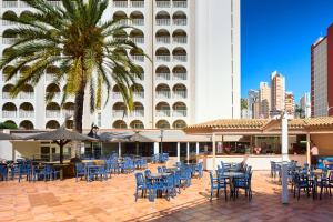 un patio con sillas azules y una palmera frente a un edificio en Sol Pelicanos Ocas, en Benidorm