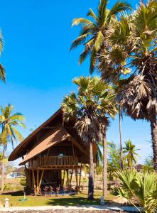 Maujawa的住宿－Tanoma Sumba，海滩上种有棕榈树的度假村