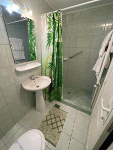 La salle de bains est pourvue d'un lavabo, d'une douche et de toilettes. dans l'établissement Pensiunea Olt Centrum/ Olt Centrum panzió, à Băile Tuşnad