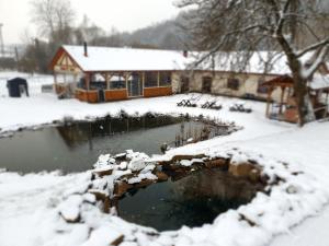 un estanque cubierto de nieve frente a un edificio en Letovisko Chobot - village resort, en Kácov