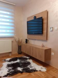 TV a/nebo společenská místnost v ubytování Apartman Planinski Kutak