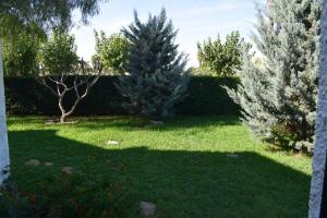 A garden outside Anacasa Marineta Bot PB2103