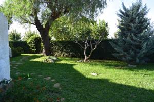 A garden outside Anacasa Marineta Bot PB2103