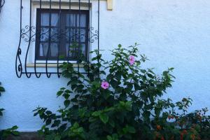 A garden outside Anacasa Marineta Bot PB2103