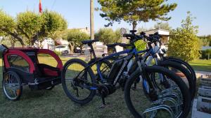 two bikes parked next to each other with a carriage at Relais Il Giardino fra gli Ulivi in Torino di Sangro