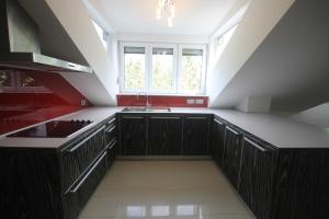 Kuchyň nebo kuchyňský kout v ubytování Hotel Altmann