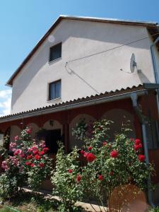 Edificio in cui si trova l'affittacamere