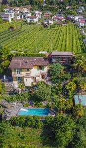 una vista aérea de una casa y un viñedo en Casa Aries & Studio Aurora, Cavigliano, en Cavigliano
