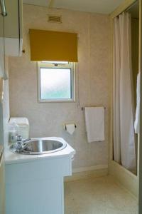 a bathroom with a sink and a window and a shower at Wind In The Willows: Sleeps 4, Kitchen, bathroom, lounge, WIFI in Napton on the Hill
