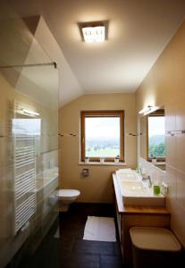 a bathroom with a sink and a toilet and a window at Haus Clarysse in Schladming