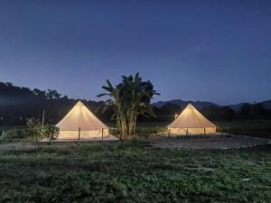 two tents in a field with a palm tree at Wanmai Farm Stay Muangkong วันใหม่ฟาร์มสเตย์ เมืองคอง เชียงดาว in Ban Yang Nong Bua