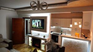 TV a/nebo společenská místnost v ubytování Apartman Nikšić