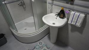Koupelna v ubytování Apartman Nikšić