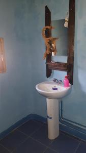 Phòng tắm tại ecolodge bivouac des aigles