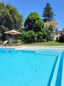 a blue swimming pool with an umbrella and chairs at Ca' delle Sore in Arezzo