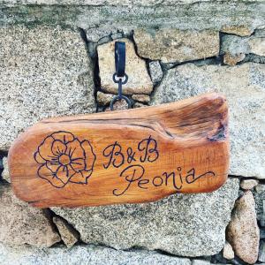 un segno di legno che dice di essere delicato di B&b Peonia orgosolo a Orgosolo