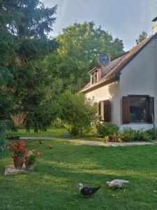 Imagem da galeria de Farma koza Olga em Ivanovo