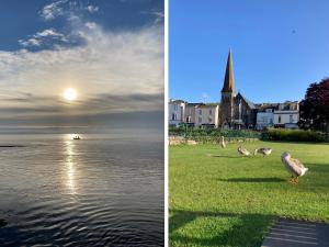 two pictures of birds standing on the grass next to a body of water at The Yellow House, 13 King Street in Dawlish