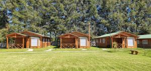 a group of wooden cabins in a park at Cabañas, canchas de pádel, básquet, voley, juegos infantiles y más in Villarrica