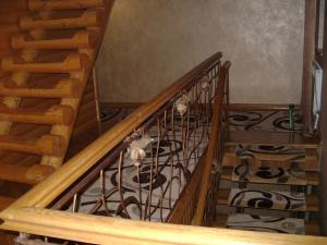 a cat sitting on top of a spiral staircase at Glanz in Yaremche