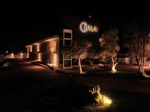 Foto da galeria de Hotel Dalai em Mendoza