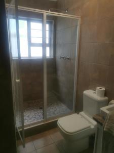 a bathroom with a shower and a toilet at Spekboom Cottage in East London