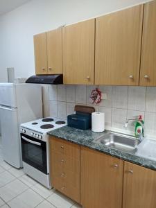 a kitchen with a stove and a sink at Cosy Studio Down Town in Kavala