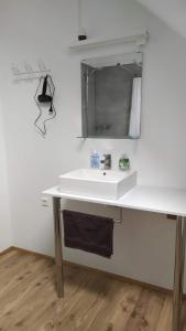 Kuchyň nebo kuchyňský kout v ubytování Guesthouse Hateigi 3