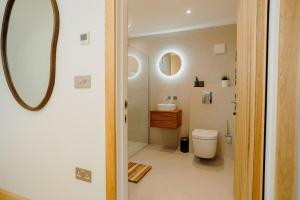 a bathroom with a toilet and a sink and a mirror at Beavers Lodge. Luxury Property with Hot Tub in Tenby