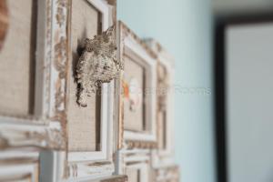 Fotografia z galérie ubytovania Vasileiadou Coastal Rooms v destinácii Flogita