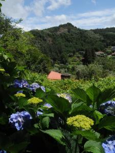 Gallery image of Casa do Valo in Amonde