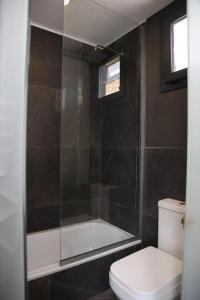 a bathroom with a toilet and a glass shower at Solo Lofts in El Chalten