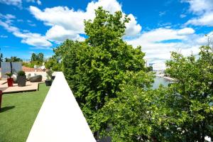 Príroda v okolí apartmánu