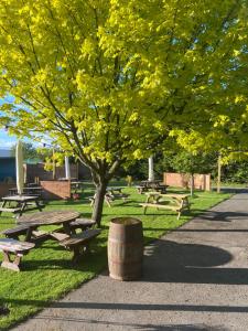un parque con mesas de picnic y un árbol con hojas amarillas en The Red Admiral Gosforth CA20 1BP en Seascale
