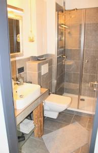 een badkamer met een wastafel, een toilet en een douche bij Harzbutze 30 in Sankt Andreasberg