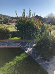 Vonkajšia záhrada v ubytovaní Casa rural La Tahona del abuelo TR CC 00344