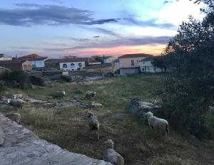 Príroda v okolí of the country house