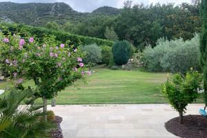 einen Garten mit rosa Blumen und einer Liegewiese in der Unterkunft Gite Studio indépendant au cœur du Luberon in Maubec