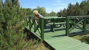 a person standing on a green bridge at Nidos Poilsine Studio in Nida +3 photos