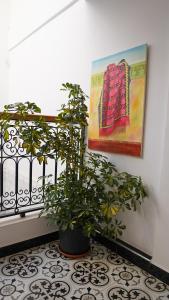 马拉喀什Riad Dar Yassine的相册照片